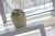 aa1faa1a595febd72c228c336de174f0.webp