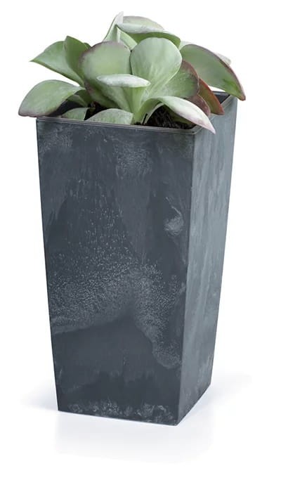 5b92ac06f1f1d7f83143c723243f2eac.jpg