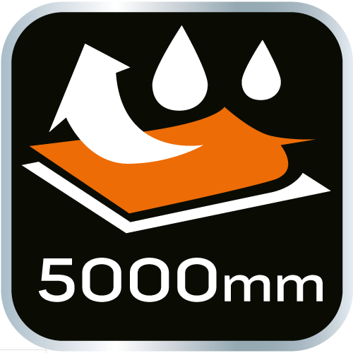 81-566-L__BNE_TPI_K02.png