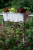 Crown_DCRO600_S449_aranz_01.png