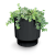 Milly_DMIN170_446U_roslina.png