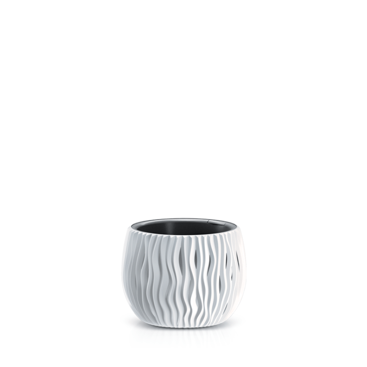 Sandy_Bowl_DSK180_S449.png