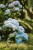 product-65deef2fa1b283.jpg